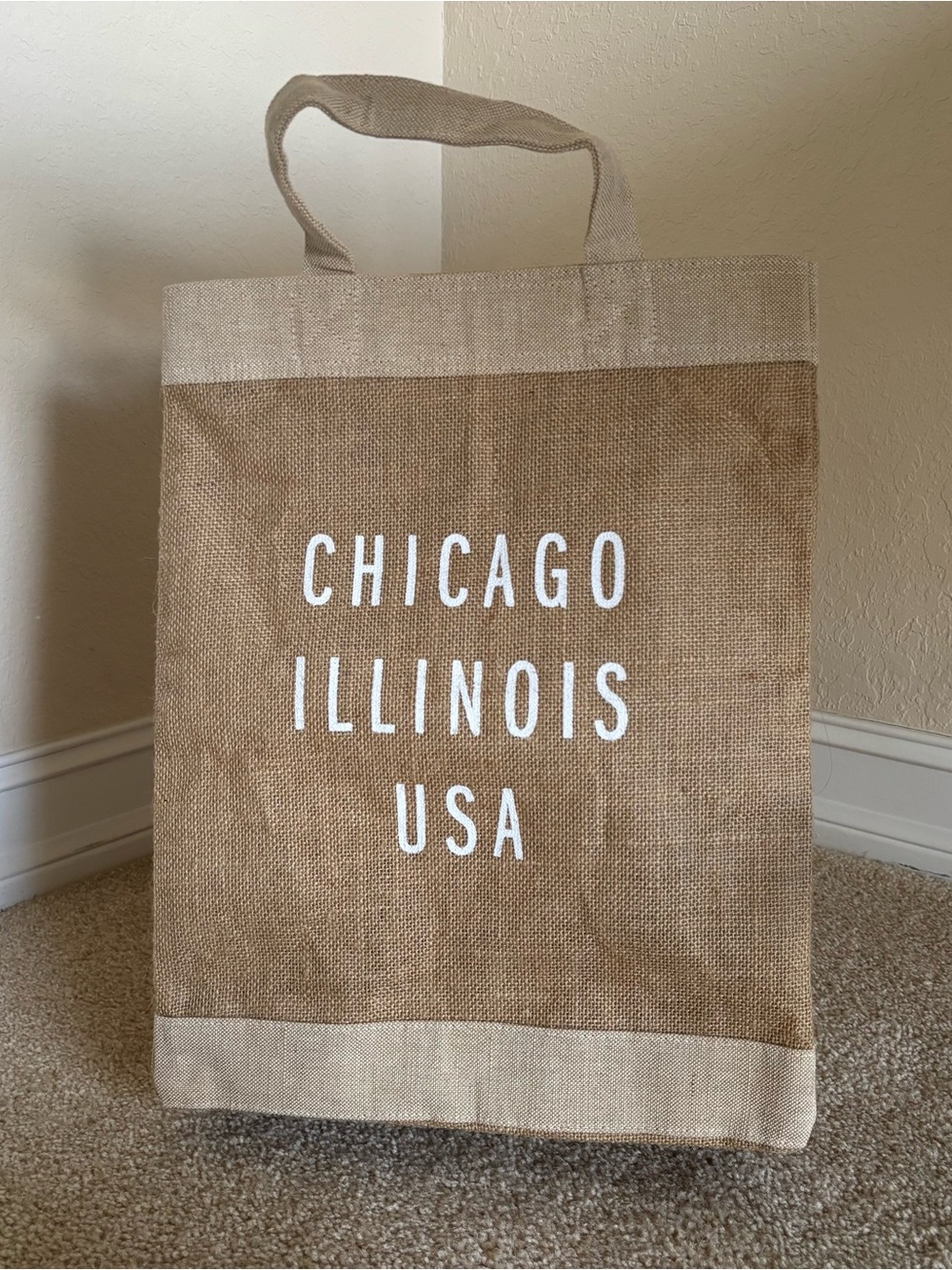 Apolis Global Citizen | Chicago Illinois USA Vegan Market Bag NWT
